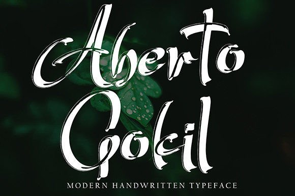 Aberto Gokil: A Fresh Font for Business Growth