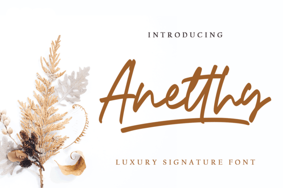 Anetthy: A Sweet Script Font for Business Branding