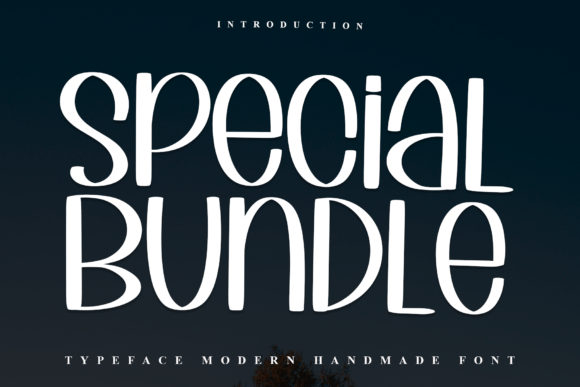 Special Bundle Font for Web Design